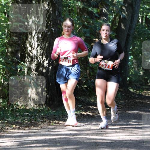 28.09.2025 - 33. Volkslauf durch das schöne Alstertal Strokosch-Dieckow http://msf.ph/oto/8974332 28.09.2025 12:41:18 Laufen 2401, 2571 meine-sportfotos.de