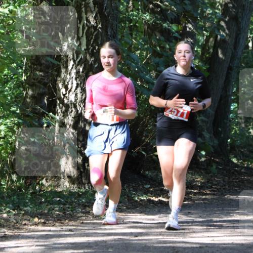 28.09.2025 - 33. Volkslauf durch das schöne Alstertal Strokosch-Dieckow http://msf.ph/oto/8974336 28.09.2025 12:41:18 Laufen 2571 meine-sportfotos.de