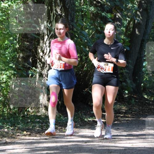 28.09.2025 - 33. Volkslauf durch das schöne Alstertal Strokosch-Dieckow http://msf.ph/oto/8974338 28.09.2025 12:41:18 Laufen 401 meine-sportfotos.de