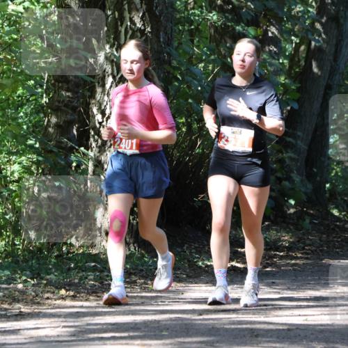 28.09.2025 - 33. Volkslauf durch das schöne Alstertal Strokosch-Dieckow http://msf.ph/oto/8974339 28.09.2025 12:41:18 Laufen 2401 meine-sportfotos.de