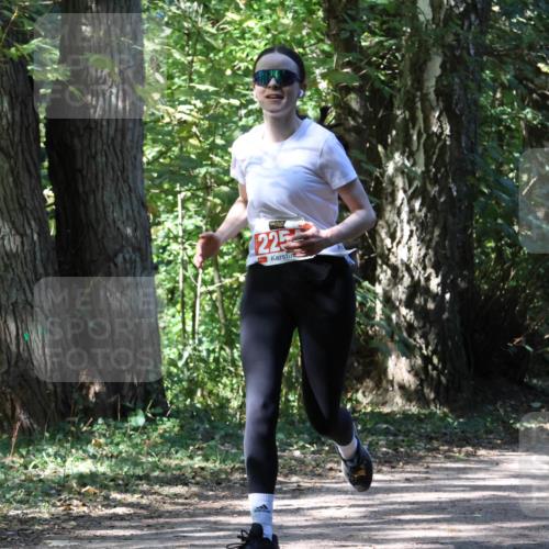 28.09.2025 - 33. Volkslauf durch das schöne Alstertal Strokosch-Dieckow http://msf.ph/oto/8974344 28.09.2025 12:41:57 Laufen 225 meine-sportfotos.de
