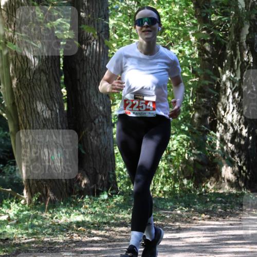 28.09.2025 - 33. Volkslauf durch das schöne Alstertal Strokosch-Dieckow http://msf.ph/oto/8974348 28.09.2025 12:41:57 Laufen 2254 meine-sportfotos.de
