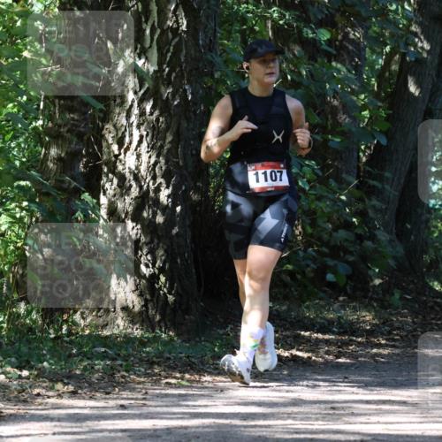 28.09.2025 - 33. Volkslauf durch das schöne Alstertal Strokosch-Dieckow http://msf.ph/oto/8974357 28.09.2025 12:42:17 Laufen 1107 meine-sportfotos.de