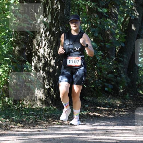 28.09.2025 - 33. Volkslauf durch das schöne Alstertal Strokosch-Dieckow http://msf.ph/oto/8974360 28.09.2025 12:42:17 Laufen 1107 meine-sportfotos.de