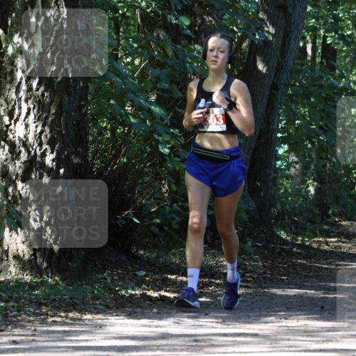 28.09.2025 - 33. Volkslauf durch das schöne Alstertal Strokosch-Dieckow http://msf.ph/oto/8974361 28.09.2025 12:42:20 Laufen 303 meine-sportfotos.de