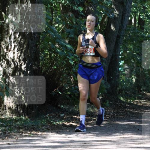 28.09.2025 - 33. Volkslauf durch das schöne Alstertal Strokosch-Dieckow http://msf.ph/oto/8974362 28.09.2025 12:42:20 Laufen 2303 meine-sportfotos.de