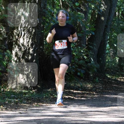 28.09.2025 - 33. Volkslauf durch das schöne Alstertal Strokosch-Dieckow http://msf.ph/oto/8974380 28.09.2025 12:43:17 Laufen 2036 meine-sportfotos.de