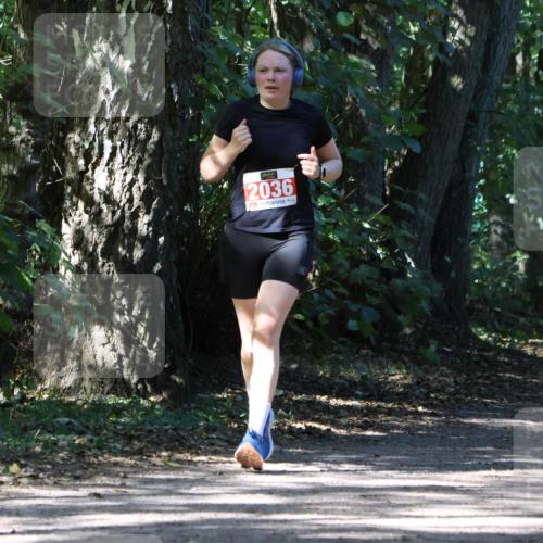 28.09.2025 - 33. Volkslauf durch das schöne Alstertal Strokosch-Dieckow http://msf.ph/oto/8974381 28.09.2025 12:43:17 Laufen 2036 meine-sportfotos.de