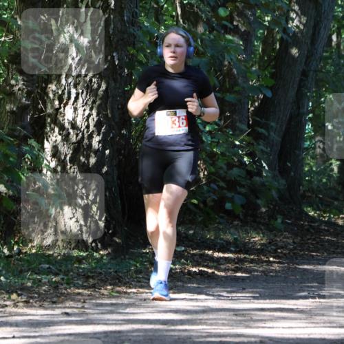 28.09.2025 - 33. Volkslauf durch das schöne Alstertal Strokosch-Dieckow http://msf.ph/oto/8974382 28.09.2025 12:43:17 Laufen 036 meine-sportfotos.de
