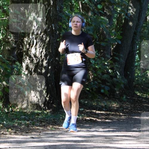 28.09.2025 - 33. Volkslauf durch das schöne Alstertal Strokosch-Dieckow http://msf.ph/oto/8974383 28.09.2025 12:43:17 Laufen 36 meine-sportfotos.de