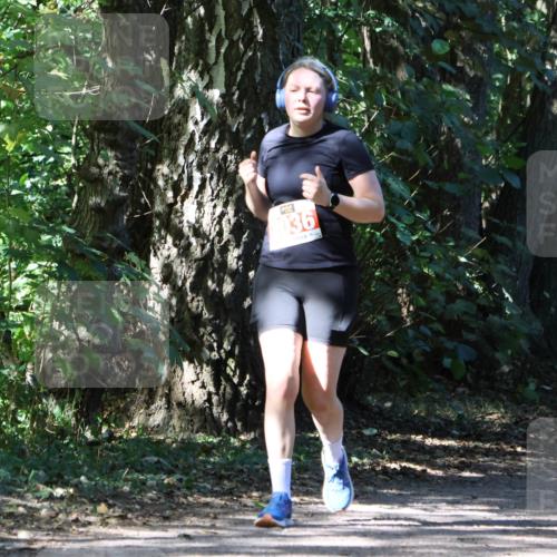 28.09.2025 - 33. Volkslauf durch das schöne Alstertal Strokosch-Dieckow http://msf.ph/oto/8974387 28.09.2025 12:43:17 Laufen 036 meine-sportfotos.de