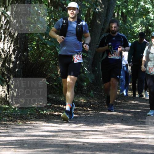 28.09.2025 - 33. Volkslauf durch das schöne Alstertal Strokosch-Dieckow http://msf.ph/oto/8974391 28.09.2025 12:43:27 Laufen 242, 426, 242 meine-sportfotos.de