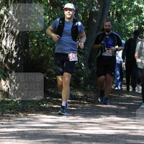 28.09.2025 - 33. Volkslauf durch das schöne Alstertal Strokosch-Dieckow http://msf.ph/oto/8974392 28.09.2025 12:43:27 Laufen 242, 425, 3, 2427 meine-sportfotos.de