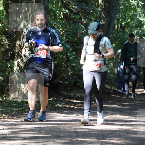 28.09.2025 - 33. Volkslauf durch das schöne Alstertal Strokosch-Dieckow http://msf.ph/oto/8974401 28.09.2025 12:43:30 Laufen 242, 2426, 27 meine-sportfotos.de