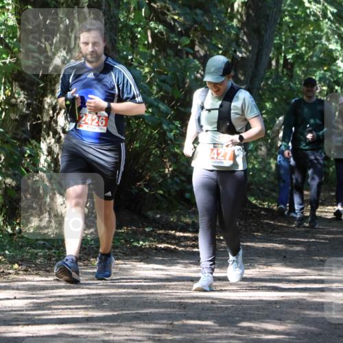 28.09.2025 - 33. Volkslauf durch das schöne Alstertal Strokosch-Dieckow http://msf.ph/oto/8974402 28.09.2025 12:43:30 Laufen 242, 2426, 427 meine-sportfotos.de