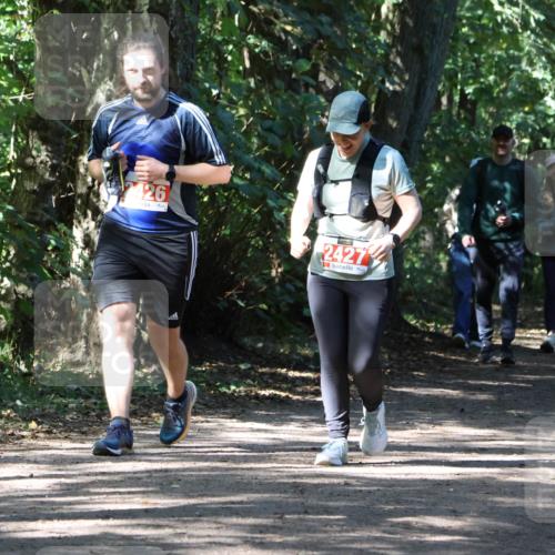 28.09.2025 - 33. Volkslauf durch das schöne Alstertal Strokosch-Dieckow http://msf.ph/oto/8974403 28.09.2025 12:43:30 Laufen 242, 426, 2427 meine-sportfotos.de