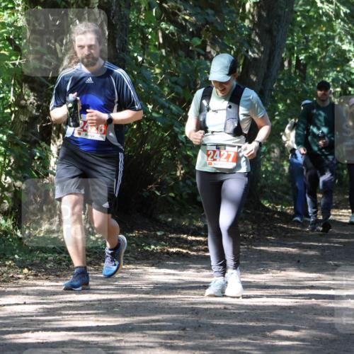28.09.2025 - 33. Volkslauf durch das schöne Alstertal Strokosch-Dieckow http://msf.ph/oto/8974404 28.09.2025 12:43:30 Laufen 2428, 2427, 2543 meine-sportfotos.de