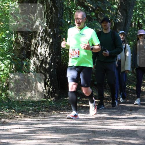 28.09.2025 - 33. Volkslauf durch das schöne Alstertal Strokosch-Dieckow http://msf.ph/oto/8974407 28.09.2025 12:43:35 Laufen 2543 meine-sportfotos.de