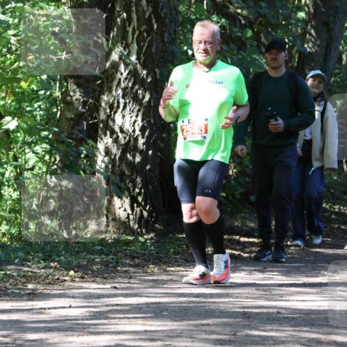 28.09.2025 - 33. Volkslauf durch das schöne Alstertal Strokosch-Dieckow http://msf.ph/oto/8974409 28.09.2025 12:43:35 Laufen 2543 meine-sportfotos.de