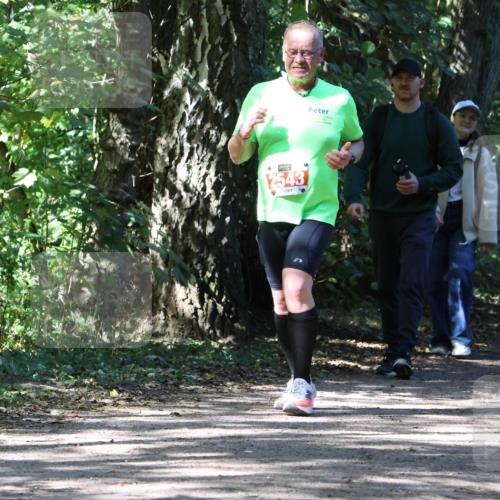 28.09.2025 - 33. Volkslauf durch das schöne Alstertal Strokosch-Dieckow http://msf.ph/oto/8974410 28.09.2025 12:43:35 Laufen 2543 meine-sportfotos.de