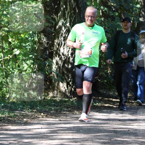 28.09.2025 - 33. Volkslauf durch das schöne Alstertal Strokosch-Dieckow http://msf.ph/oto/8974413 28.09.2025 12:43:36 Laufen  meine-sportfotos.de