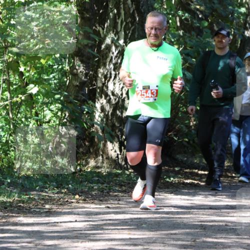 28.09.2025 - 33. Volkslauf durch das schöne Alstertal Strokosch-Dieckow http://msf.ph/oto/8974414 28.09.2025 12:43:36 Laufen 2543, 9 meine-sportfotos.de