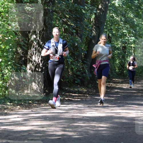 28.09.2025 - 33. Volkslauf durch das schöne Alstertal Strokosch-Dieckow http://msf.ph/oto/8974423 28.09.2025 12:44:08 Laufen 248 meine-sportfotos.de