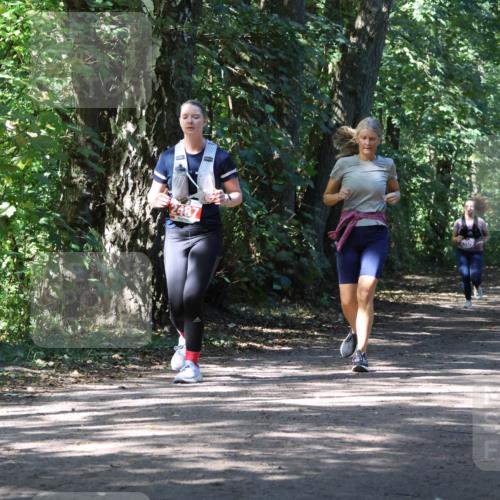 28.09.2025 - 33. Volkslauf durch das schöne Alstertal Strokosch-Dieckow http://msf.ph/oto/8974425 28.09.2025 12:44:08 Laufen 2487 meine-sportfotos.de