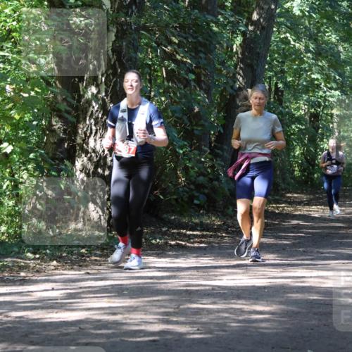 28.09.2025 - 33. Volkslauf durch das schöne Alstertal Strokosch-Dieckow http://msf.ph/oto/8974426 28.09.2025 12:44:08 Laufen 2609 meine-sportfotos.de