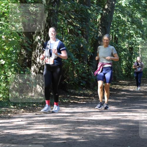 28.09.2025 - 33. Volkslauf durch das schöne Alstertal Strokosch-Dieckow http://msf.ph/oto/8974427 28.09.2025 12:44:08 Laufen  meine-sportfotos.de
