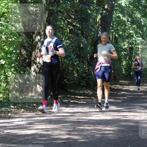 28.09.2025 - 33. Volkslauf durch das schöne Alstertal Strokosch-Dieckow http://msf.ph/oto/8974428 28.09.2025 12:44:08 Laufen  meine-sportfotos.de