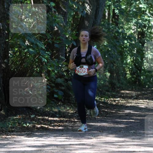 28.09.2025 - 33. Volkslauf durch das schöne Alstertal Strokosch-Dieckow http://msf.ph/oto/8974429 28.09.2025 12:44:14 Laufen 2609 meine-sportfotos.de