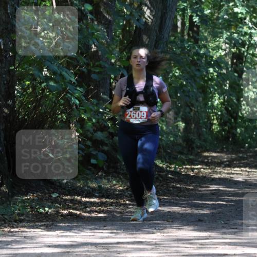 28.09.2025 - 33. Volkslauf durch das schöne Alstertal Strokosch-Dieckow http://msf.ph/oto/8974430 28.09.2025 12:44:14 Laufen 2609 meine-sportfotos.de
