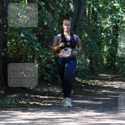 28.09.2025 - 33. Volkslauf durch das schöne Alstertal Strokosch-Dieckow http://msf.ph/oto/8974431 28.09.2025 12:44:14 Laufen 2609 meine-sportfotos.de