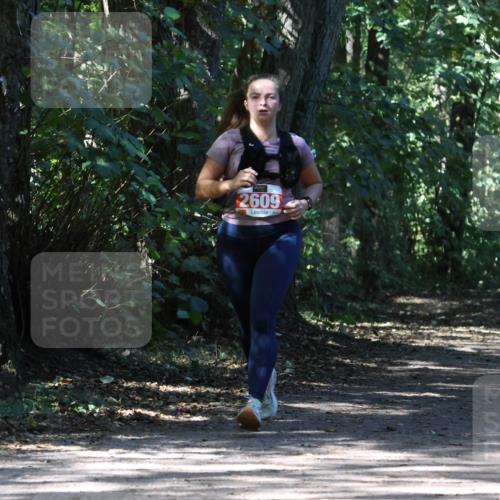 28.09.2025 - 33. Volkslauf durch das schöne Alstertal Strokosch-Dieckow http://msf.ph/oto/8974432 28.09.2025 12:44:14 Laufen 2609 meine-sportfotos.de