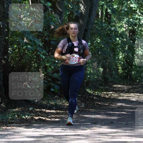 28.09.2025 - 33. Volkslauf durch das schöne Alstertal Strokosch-Dieckow http://msf.ph/oto/8974433 28.09.2025 12:44:14 Laufen 2609 meine-sportfotos.de