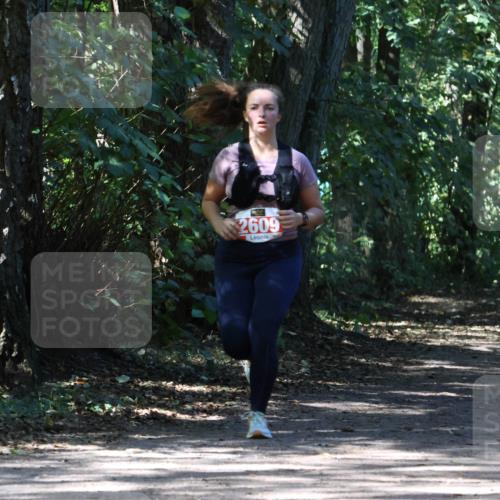 28.09.2025 - 33. Volkslauf durch das schöne Alstertal Strokosch-Dieckow http://msf.ph/oto/8974434 28.09.2025 12:44:14 Laufen 2609 meine-sportfotos.de