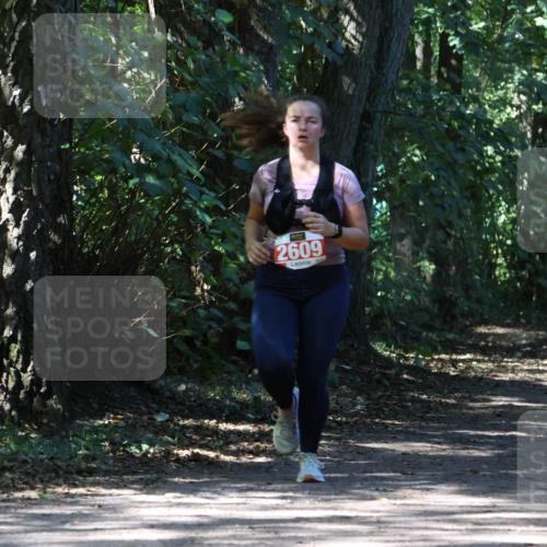28.09.2025 - 33. Volkslauf durch das schöne Alstertal Strokosch-Dieckow http://msf.ph/oto/8974435 28.09.2025 12:44:14 Laufen 2609 meine-sportfotos.de