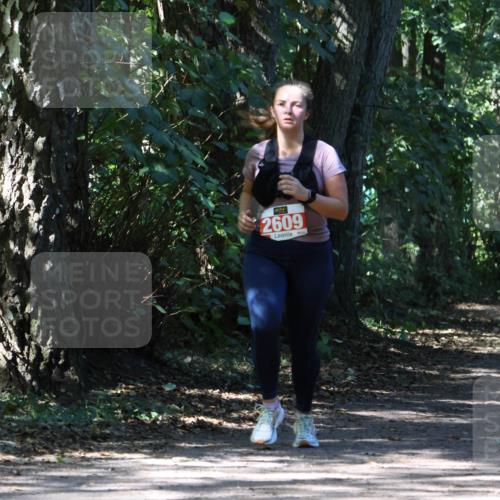 28.09.2025 - 33. Volkslauf durch das schöne Alstertal Strokosch-Dieckow http://msf.ph/oto/8974436 28.09.2025 12:44:14 Laufen 2609 meine-sportfotos.de