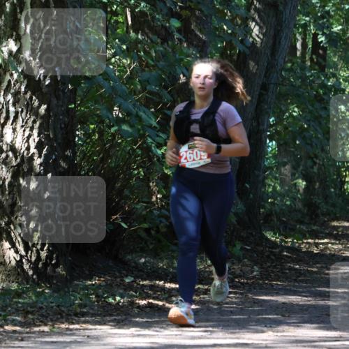 28.09.2025 - 33. Volkslauf durch das schöne Alstertal Strokosch-Dieckow http://msf.ph/oto/8974438 28.09.2025 12:44:14 Laufen 2609 meine-sportfotos.de