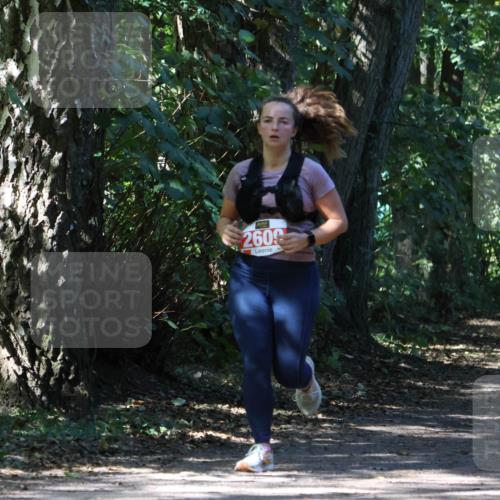 28.09.2025 - 33. Volkslauf durch das schöne Alstertal Strokosch-Dieckow http://msf.ph/oto/8974439 28.09.2025 12:44:14 Laufen 260 meine-sportfotos.de