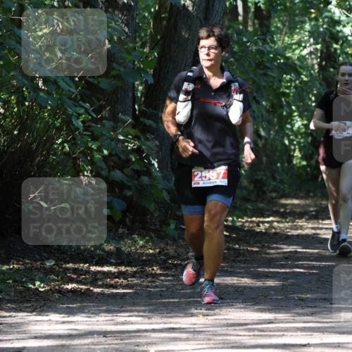 28.09.2025 - 33. Volkslauf durch das schöne Alstertal Strokosch-Dieckow http://msf.ph/oto/8974441 28.09.2025 12:44:41 Laufen 2557 meine-sportfotos.de