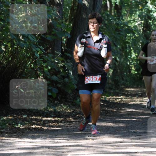 28.09.2025 - 33. Volkslauf durch das schöne Alstertal Strokosch-Dieckow http://msf.ph/oto/8974442 28.09.2025 12:44:41 Laufen 2557 meine-sportfotos.de