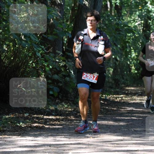 28.09.2025 - 33. Volkslauf durch das schöne Alstertal Strokosch-Dieckow http://msf.ph/oto/8974443 28.09.2025 12:44:41 Laufen 2557, 2564 meine-sportfotos.de