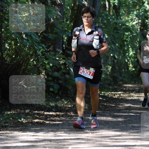28.09.2025 - 33. Volkslauf durch das schöne Alstertal Strokosch-Dieckow http://msf.ph/oto/8974444 28.09.2025 12:44:41 Laufen 2557, 2564 meine-sportfotos.de
