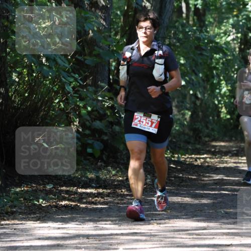 28.09.2025 - 33. Volkslauf durch das schöne Alstertal Strokosch-Dieckow http://msf.ph/oto/8974445 28.09.2025 12:44:41 Laufen 2557, 2564 meine-sportfotos.de