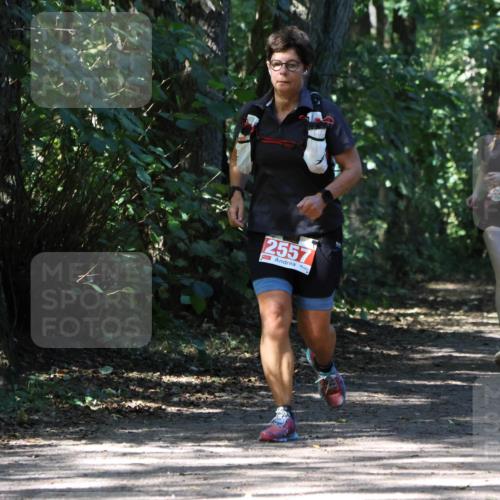 28.09.2025 - 33. Volkslauf durch das schöne Alstertal Strokosch-Dieckow http://msf.ph/oto/8974446 28.09.2025 12:44:41 Laufen 2557 meine-sportfotos.de