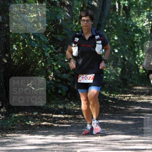 28.09.2025 - 33. Volkslauf durch das schöne Alstertal Strokosch-Dieckow http://msf.ph/oto/8974448 28.09.2025 12:44:41 Laufen 255 meine-sportfotos.de