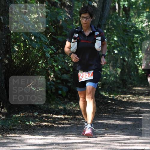 28.09.2025 - 33. Volkslauf durch das schöne Alstertal Strokosch-Dieckow http://msf.ph/oto/8974449 28.09.2025 12:44:41 Laufen 2557 meine-sportfotos.de