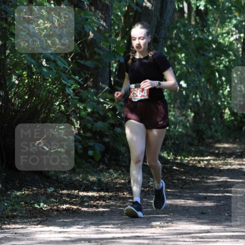 28.09.2025 - 33. Volkslauf durch das schöne Alstertal Strokosch-Dieckow http://msf.ph/oto/8974451 28.09.2025 12:44:44 Laufen 2564 meine-sportfotos.de